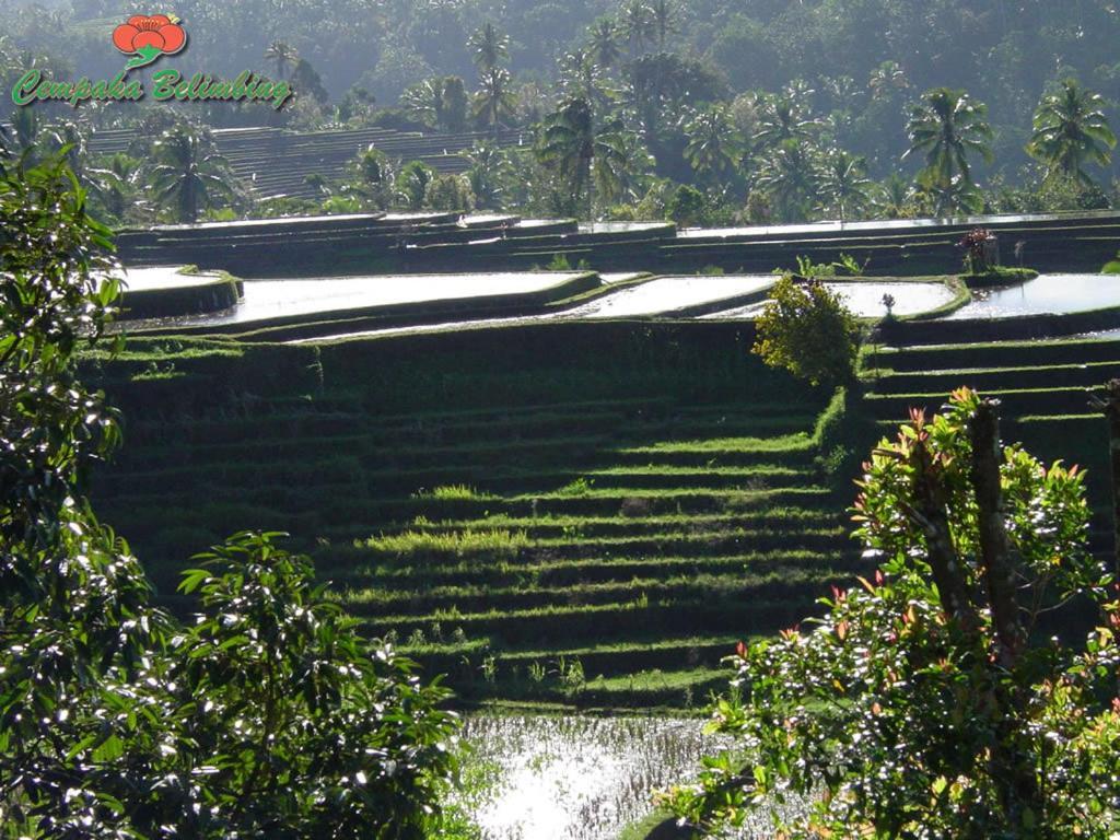 Cempaka Belimbing Villa Blimbing  Exterior foto