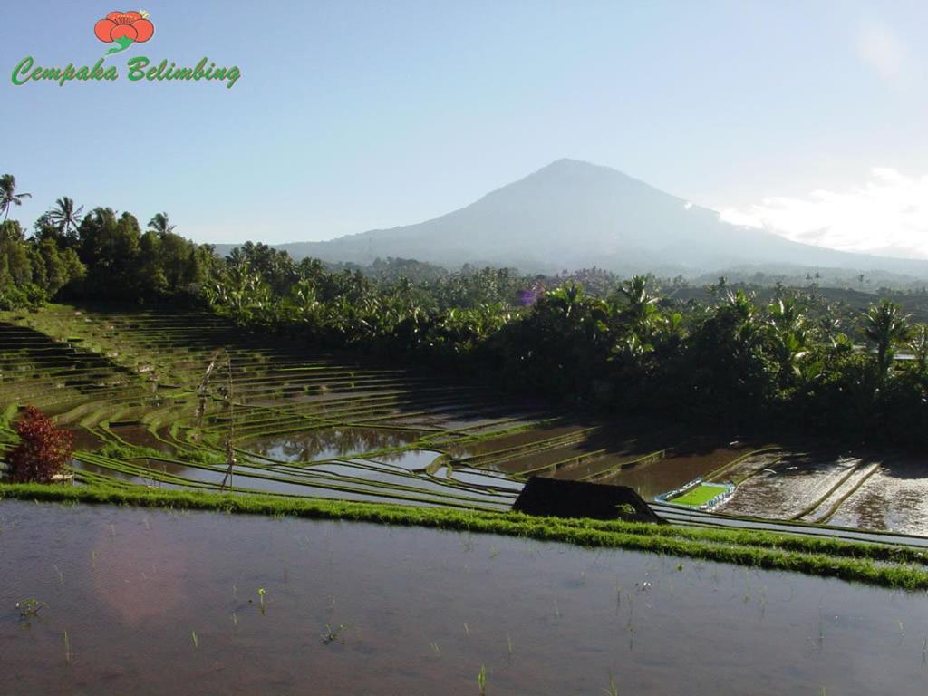 Cempaka Belimbing Villa Blimbing  Exterior foto