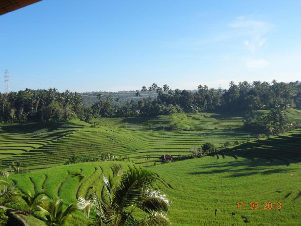 Cempaka Belimbing Villa Blimbing  Exterior foto